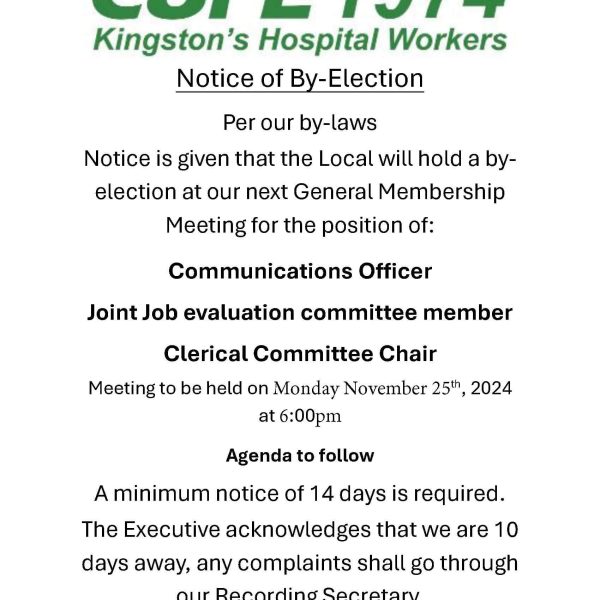 by-election-nov-25